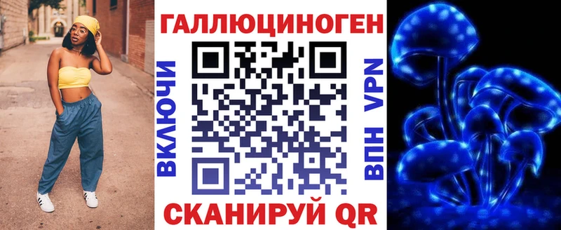 Галлюциногенные грибы Psilocybe  Купить закладки  Апшеронск 